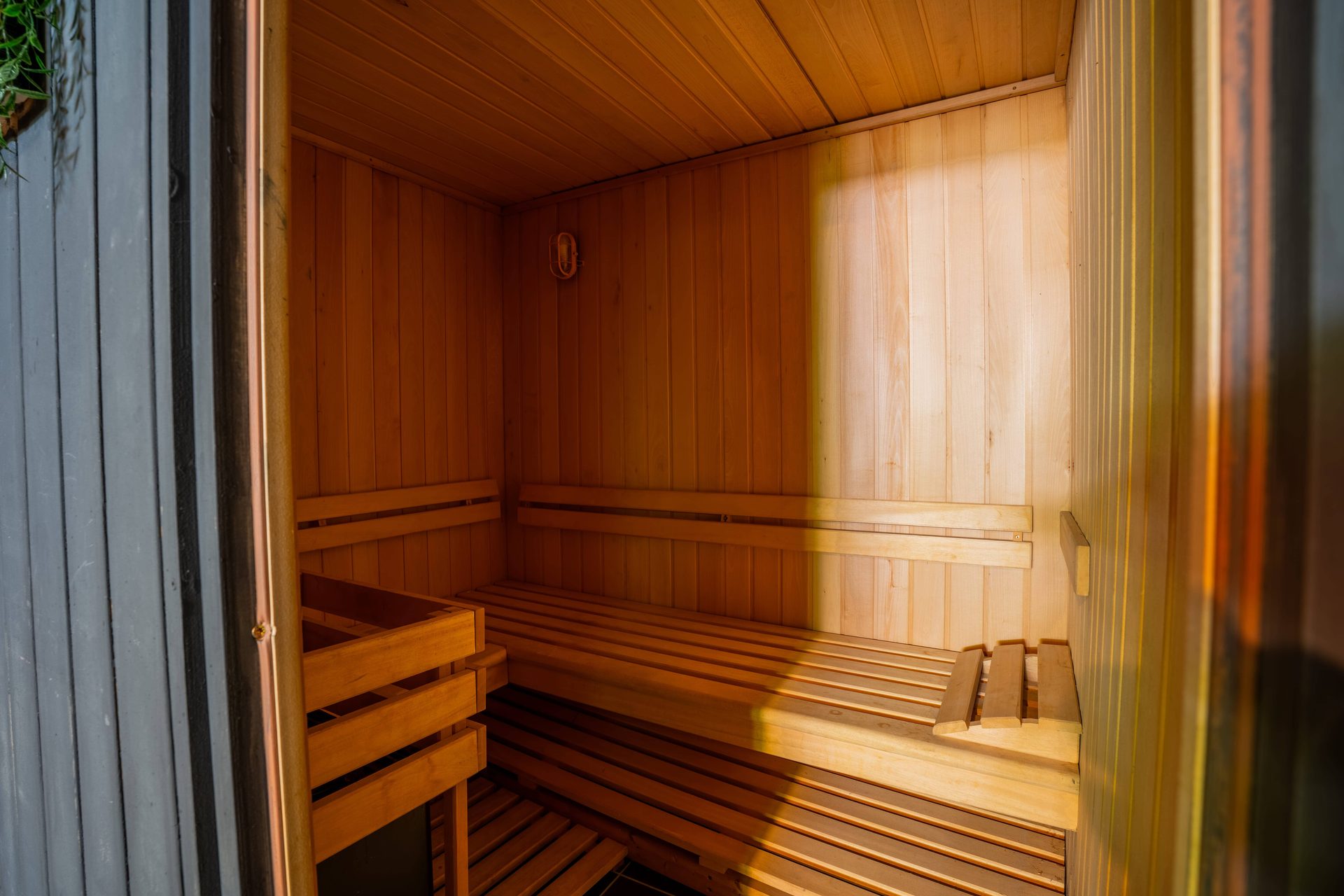 Sauna i wellness